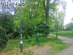 [P27] Minunatul Cișmigiu plin de verdeață, mai 2022 » foto by Mioritik
 - 
<span class="allrVoted glyphicon glyphicon-heart hidden" id="av1363161"></span>
<a class="m-l-10 hidden" id="sv1363161" onclick="voting_Foto_DelVot(,1363161,4083)" role="button">șterge vot <span class="glyphicon glyphicon-remove"></span></a>
<a id="v91363161" class=" c-red"  onclick="voting_Foto_SetVot(1363161)" role="button"><span class="glyphicon glyphicon-heart-empty"></span> <b>LIKE</b> = Votează poza</a> <img class="hidden"  id="f1363161W9" src="/imagini/loader.gif" border="0" /><span class="AjErrMes hidden" id="e1363161ErM"></span>