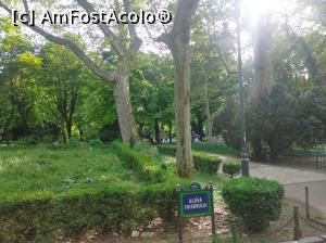 [P29] Minunatul Cișmigiu plin de verdeață, mai 2022 » foto by Mioritik
 - 
<span class="allrVoted glyphicon glyphicon-heart hidden" id="av1363163"></span>
<a class="m-l-10 hidden" id="sv1363163" onclick="voting_Foto_DelVot(,1363163,4083)" role="button">șterge vot <span class="glyphicon glyphicon-remove"></span></a>
<a id="v91363163" class=" c-red"  onclick="voting_Foto_SetVot(1363163)" role="button"><span class="glyphicon glyphicon-heart-empty"></span> <b>LIKE</b> = Votează poza</a> <img class="hidden"  id="f1363163W9" src="/imagini/loader.gif" border="0" /><span class="AjErrMes hidden" id="e1363163ErM"></span>