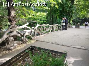 [P32] Minunatul Cișmigiu plin de verdeață, mai 2022 » foto by Mioritik
 - 
<span class="allrVoted glyphicon glyphicon-heart hidden" id="av1363166"></span>
<a class="m-l-10 hidden" id="sv1363166" onclick="voting_Foto_DelVot(,1363166,4083)" role="button">șterge vot <span class="glyphicon glyphicon-remove"></span></a>
<a id="v91363166" class=" c-red"  onclick="voting_Foto_SetVot(1363166)" role="button"><span class="glyphicon glyphicon-heart-empty"></span> <b>LIKE</b> = Votează poza</a> <img class="hidden"  id="f1363166W9" src="/imagini/loader.gif" border="0" /><span class="AjErrMes hidden" id="e1363166ErM"></span>