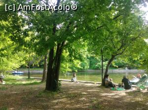 [P33] Minunatul Cișmigiu plin de verdeață, mai 2022, la picnic » foto by Mioritik
 - 
<span class="allrVoted glyphicon glyphicon-heart hidden" id="av1363167"></span>
<a class="m-l-10 hidden" id="sv1363167" onclick="voting_Foto_DelVot(,1363167,4083)" role="button">șterge vot <span class="glyphicon glyphicon-remove"></span></a>
<a id="v91363167" class=" c-red"  onclick="voting_Foto_SetVot(1363167)" role="button"><span class="glyphicon glyphicon-heart-empty"></span> <b>LIKE</b> = Votează poza</a> <img class="hidden"  id="f1363167W9" src="/imagini/loader.gif" border="0" /><span class="AjErrMes hidden" id="e1363167ErM"></span>