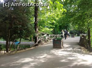 [P34] Minunatul Cișmigiu plin de verdeață, mai 2022 » foto by Mioritik
 - 
<span class="allrVoted glyphicon glyphicon-heart hidden" id="av1363168"></span>
<a class="m-l-10 hidden" id="sv1363168" onclick="voting_Foto_DelVot(,1363168,4083)" role="button">șterge vot <span class="glyphicon glyphicon-remove"></span></a>
<a id="v91363168" class=" c-red"  onclick="voting_Foto_SetVot(1363168)" role="button"><span class="glyphicon glyphicon-heart-empty"></span> <b>LIKE</b> = Votează poza</a> <img class="hidden"  id="f1363168W9" src="/imagini/loader.gif" border="0" /><span class="AjErrMes hidden" id="e1363168ErM"></span>