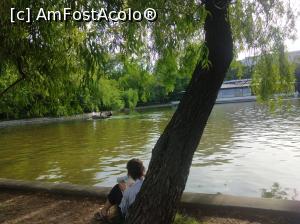 [P36] Minunatul Cișmigiu plin de verdeață, mai 2022, la picnic » foto by Mioritik
 - 
<span class="allrVoted glyphicon glyphicon-heart hidden" id="av1363170"></span>
<a class="m-l-10 hidden" id="sv1363170" onclick="voting_Foto_DelVot(,1363170,4083)" role="button">șterge vot <span class="glyphicon glyphicon-remove"></span></a>
<a id="v91363170" class=" c-red"  onclick="voting_Foto_SetVot(1363170)" role="button"><span class="glyphicon glyphicon-heart-empty"></span> <b>LIKE</b> = Votează poza</a> <img class="hidden"  id="f1363170W9" src="/imagini/loader.gif" border="0" /><span class="AjErrMes hidden" id="e1363170ErM"></span>
