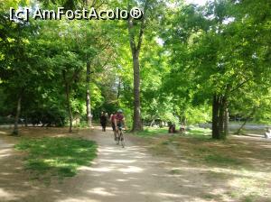 [P38] Minunatul Cișmigiu plin de verdeață, mai 2022 » foto by Mioritik
 - 
<span class="allrVoted glyphicon glyphicon-heart hidden" id="av1363172"></span>
<a class="m-l-10 hidden" id="sv1363172" onclick="voting_Foto_DelVot(,1363172,4083)" role="button">șterge vot <span class="glyphicon glyphicon-remove"></span></a>
<a id="v91363172" class=" c-red"  onclick="voting_Foto_SetVot(1363172)" role="button"><span class="glyphicon glyphicon-heart-empty"></span> <b>LIKE</b> = Votează poza</a> <img class="hidden"  id="f1363172W9" src="/imagini/loader.gif" border="0" /><span class="AjErrMes hidden" id="e1363172ErM"></span>