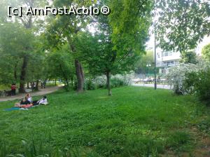 [P41] Minunatul Cișmigiu plin de verdeață, mai 2022, la picnic » foto by Mioritik
 - 
<span class="allrVoted glyphicon glyphicon-heart hidden" id="av1363175"></span>
<a class="m-l-10 hidden" id="sv1363175" onclick="voting_Foto_DelVot(,1363175,4083)" role="button">șterge vot <span class="glyphicon glyphicon-remove"></span></a>
<a id="v91363175" class=" c-red"  onclick="voting_Foto_SetVot(1363175)" role="button"><span class="glyphicon glyphicon-heart-empty"></span> <b>LIKE</b> = Votează poza</a> <img class="hidden"  id="f1363175W9" src="/imagini/loader.gif" border="0" /><span class="AjErrMes hidden" id="e1363175ErM"></span>