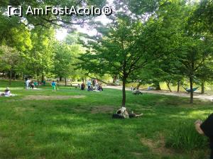 [P42] Minunatul Cișmigiu plin de verdeață, mai 2022, la picnic » foto by Mioritik
 - 
<span class="allrVoted glyphicon glyphicon-heart hidden" id="av1363176"></span>
<a class="m-l-10 hidden" id="sv1363176" onclick="voting_Foto_DelVot(,1363176,4083)" role="button">șterge vot <span class="glyphicon glyphicon-remove"></span></a>
<a id="v91363176" class=" c-red"  onclick="voting_Foto_SetVot(1363176)" role="button"><span class="glyphicon glyphicon-heart-empty"></span> <b>LIKE</b> = Votează poza</a> <img class="hidden"  id="f1363176W9" src="/imagini/loader.gif" border="0" /><span class="AjErrMes hidden" id="e1363176ErM"></span>