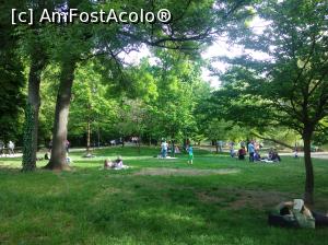 [P43] Minunatul Cișmigiu plin de verdeață, mai 2022, la picnic » foto by Mioritik
 - 
<span class="allrVoted glyphicon glyphicon-heart hidden" id="av1363177"></span>
<a class="m-l-10 hidden" id="sv1363177" onclick="voting_Foto_DelVot(,1363177,4083)" role="button">șterge vot <span class="glyphicon glyphicon-remove"></span></a>
<a id="v91363177" class=" c-red"  onclick="voting_Foto_SetVot(1363177)" role="button"><span class="glyphicon glyphicon-heart-empty"></span> <b>LIKE</b> = Votează poza</a> <img class="hidden"  id="f1363177W9" src="/imagini/loader.gif" border="0" /><span class="AjErrMes hidden" id="e1363177ErM"></span>