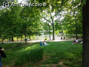 [P44] Minunatul Cișmigiu plin de verdeață, mai 2022, la picnic » foto by Mioritik
 - 
<span class="allrVoted glyphicon glyphicon-heart hidden" id="av1363178"></span>
<a class="m-l-10 hidden" id="sv1363178" onclick="voting_Foto_DelVot(,1363178,4083)" role="button">șterge vot <span class="glyphicon glyphicon-remove"></span></a>
<a id="v91363178" class=" c-red"  onclick="voting_Foto_SetVot(1363178)" role="button"><span class="glyphicon glyphicon-heart-empty"></span> <b>LIKE</b> = Votează poza</a> <img class="hidden"  id="f1363178W9" src="/imagini/loader.gif" border="0" /><span class="AjErrMes hidden" id="e1363178ErM"></span>