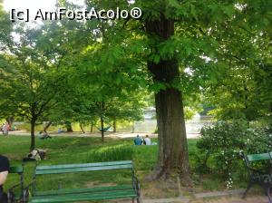 [P46] Minunatul Cișmigiu plin de verdeață, mai 2022, la picnic » foto by Mioritik
 - 
<span class="allrVoted glyphicon glyphicon-heart hidden" id="av1363180"></span>
<a class="m-l-10 hidden" id="sv1363180" onclick="voting_Foto_DelVot(,1363180,4083)" role="button">șterge vot <span class="glyphicon glyphicon-remove"></span></a>
<a id="v91363180" class=" c-red"  onclick="voting_Foto_SetVot(1363180)" role="button"><span class="glyphicon glyphicon-heart-empty"></span> <b>LIKE</b> = Votează poza</a> <img class="hidden"  id="f1363180W9" src="/imagini/loader.gif" border="0" /><span class="AjErrMes hidden" id="e1363180ErM"></span>