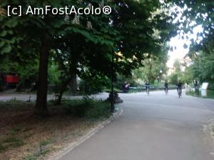 [P47] Minunatul Cișmigiu plin de verdeață, mai 2022 » foto by Mioritik
 - 
<span class="allrVoted glyphicon glyphicon-heart hidden" id="av1363181"></span>
<a class="m-l-10 hidden" id="sv1363181" onclick="voting_Foto_DelVot(,1363181,4083)" role="button">șterge vot <span class="glyphicon glyphicon-remove"></span></a>
<a id="v91363181" class=" c-red"  onclick="voting_Foto_SetVot(1363181)" role="button"><span class="glyphicon glyphicon-heart-empty"></span> <b>LIKE</b> = Votează poza</a> <img class="hidden"  id="f1363181W9" src="/imagini/loader.gif" border="0" /><span class="AjErrMes hidden" id="e1363181ErM"></span>