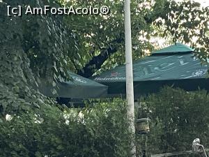 [P34] Restaurant Casa Myt - terasa văzută din alee » foto by nicole33
 - 
<span class="allrVoted glyphicon glyphicon-heart hidden" id="av1318565"></span>
<a class="m-l-10 hidden" id="sv1318565" onclick="voting_Foto_DelVot(,1318565,4083)" role="button">șterge vot <span class="glyphicon glyphicon-remove"></span></a>
<a id="v91318565" class=" c-red"  onclick="voting_Foto_SetVot(1318565)" role="button"><span class="glyphicon glyphicon-heart-empty"></span> <b>LIKE</b> = Votează poza</a> <img class="hidden"  id="f1318565W9" src="/imagini/loader.gif" border="0" /><span class="AjErrMes hidden" id="e1318565ErM"></span>