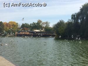 [P01] Cafeneaua Actorilor din Parcul Tineretului. Terasa de pe malul lacului,  » foto by Floria
 - 
<span class="allrVoted glyphicon glyphicon-heart hidden" id="av912141"></span>
<a class="m-l-10 hidden" id="sv912141" onclick="voting_Foto_DelVot(,912141,4083)" role="button">șterge vot <span class="glyphicon glyphicon-remove"></span></a>
<a id="v9912141" class=" c-red"  onclick="voting_Foto_SetVot(912141)" role="button"><span class="glyphicon glyphicon-heart-empty"></span> <b>LIKE</b> = Votează poza</a> <img class="hidden"  id="f912141W9" src="/imagini/loader.gif" border="0" /><span class="AjErrMes hidden" id="e912141ErM"></span>