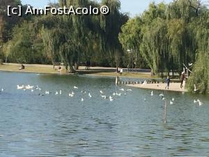 [P10] Cafeneaua Actorilor. Lacul din Parcul Tineretului.  » foto by Floria
 - 
<span class="allrVoted glyphicon glyphicon-heart hidden" id="av912150"></span>
<a class="m-l-10 hidden" id="sv912150" onclick="voting_Foto_DelVot(,912150,4083)" role="button">șterge vot <span class="glyphicon glyphicon-remove"></span></a>
<a id="v9912150" class=" c-red"  onclick="voting_Foto_SetVot(912150)" role="button"><span class="glyphicon glyphicon-heart-empty"></span> <b>LIKE</b> = Votează poza</a> <img class="hidden"  id="f912150W9" src="/imagini/loader.gif" border="0" /><span class="AjErrMes hidden" id="e912150ErM"></span>