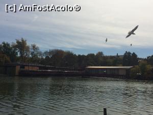 [P02] Cafeneaua Actorilor din Parcul Tineretului intr-o zi de octombrie.  » foto by Floria
 - 
<span class="allrVoted glyphicon glyphicon-heart hidden" id="av912142"></span>
<a class="m-l-10 hidden" id="sv912142" onclick="voting_Foto_DelVot(,912142,4083)" role="button">șterge vot <span class="glyphicon glyphicon-remove"></span></a>
<a id="v9912142" class=" c-red"  onclick="voting_Foto_SetVot(912142)" role="button"><span class="glyphicon glyphicon-heart-empty"></span> <b>LIKE</b> = Votează poza</a> <img class="hidden"  id="f912142W9" src="/imagini/loader.gif" border="0" /><span class="AjErrMes hidden" id="e912142ErM"></span>