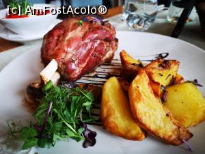 [P18] Ciolan de purcel la cuptor » foto by crismis
 - 
<span class="allrVoted glyphicon glyphicon-heart hidden" id="av1272657"></span>
<a class="m-l-10 hidden" id="sv1272657" onclick="voting_Foto_DelVot(,1272657,4083)" role="button">șterge vot <span class="glyphicon glyphicon-remove"></span></a>
<a id="v91272657" class=" c-red"  onclick="voting_Foto_SetVot(1272657)" role="button"><span class="glyphicon glyphicon-heart-empty"></span> <b>LIKE</b> = Votează poza</a> <img class="hidden"  id="f1272657W9" src="/imagini/loader.gif" border="0" /><span class="AjErrMes hidden" id="e1272657ErM"></span>