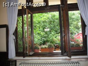 [P23] Așa se vede pe fereastră în curte!  » foto by Zoazore
 - 
<span class="allrVoted glyphicon glyphicon-heart hidden" id="av1076605"></span>
<a class="m-l-10 hidden" id="sv1076605" onclick="voting_Foto_DelVot(,1076605,4083)" role="button">șterge vot <span class="glyphicon glyphicon-remove"></span></a>
<a id="v91076605" class=" c-red"  onclick="voting_Foto_SetVot(1076605)" role="button"><span class="glyphicon glyphicon-heart-empty"></span> <b>LIKE</b> = Votează poza</a> <img class="hidden"  id="f1076605W9" src="/imagini/loader.gif" border="0" /><span class="AjErrMes hidden" id="e1076605ErM"></span>