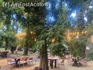 [P30] Restaurant Guava -se aprind luminile » foto by mishu
 - 
<span class="allrVoted glyphicon glyphicon-heart hidden" id="av1319162"></span>
<a class="m-l-10 hidden" id="sv1319162" onclick="voting_Foto_DelVot(,1319162,4083)" role="button">șterge vot <span class="glyphicon glyphicon-remove"></span></a>
<a id="v91319162" class=" c-red"  onclick="voting_Foto_SetVot(1319162)" role="button"><span class="glyphicon glyphicon-heart-empty"></span> <b>LIKE</b> = Votează poza</a> <img class="hidden"  id="f1319162W9" src="/imagini/loader.gif" border="0" /><span class="AjErrMes hidden" id="e1319162ErM"></span>