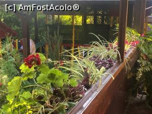 [P30] Restaurant Casa Jienilor - pe terasa » foto by mishu
 - 
<span class="allrVoted glyphicon glyphicon-heart hidden" id="av1329345"></span>
<a class="m-l-10 hidden" id="sv1329345" onclick="voting_Foto_DelVot(,1329345,4083)" role="button">șterge vot <span class="glyphicon glyphicon-remove"></span></a>
<a id="v91329345" class=" c-red"  onclick="voting_Foto_SetVot(1329345)" role="button"><span class="glyphicon glyphicon-heart-empty"></span> <b>LIKE</b> = Votează poza</a> <img class="hidden"  id="f1329345W9" src="/imagini/loader.gif" border="0" /><span class="AjErrMes hidden" id="e1329345ErM"></span>