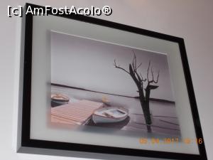 [P09] Decor.  » foto by elviramvio
 - 
<span class="allrVoted glyphicon glyphicon-heart hidden" id="av845332"></span>
<a class="m-l-10 hidden" id="sv845332" onclick="voting_Foto_DelVot(,845332,4083)" role="button">șterge vot <span class="glyphicon glyphicon-remove"></span></a>
<a id="v9845332" class=" c-red"  onclick="voting_Foto_SetVot(845332)" role="button"><span class="glyphicon glyphicon-heart-empty"></span> <b>LIKE</b> = Votează poza</a> <img class="hidden"  id="f845332W9" src="/imagini/loader.gif" border="0" /><span class="AjErrMes hidden" id="e845332ErM"></span>