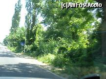 [P38] prin Bulgaria » foto by adryana
 - 
<span class="allrVoted glyphicon glyphicon-heart hidden" id="av235025"></span>
<a class="m-l-10 hidden" id="sv235025" onclick="voting_Foto_DelVot(,235025,4090)" role="button">șterge vot <span class="glyphicon glyphicon-remove"></span></a>
<a id="v9235025" class=" c-red"  onclick="voting_Foto_SetVot(235025)" role="button"><span class="glyphicon glyphicon-heart-empty"></span> <b>LIKE</b> = Votează poza</a> <img class="hidden"  id="f235025W9" src="/imagini/loader.gif" border="0" /><span class="AjErrMes hidden" id="e235025ErM"></span>
