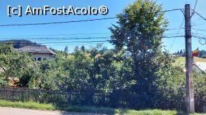 [P39] Bucovina văzută din mocănița Huțulca » foto by Carmen Ion
 - 
<span class="allrVoted glyphicon glyphicon-heart hidden" id="av1381568"></span>
<a class="m-l-10 hidden" id="sv1381568" onclick="voting_Foto_DelVot(,1381568,4091)" role="button">șterge vot <span class="glyphicon glyphicon-remove"></span></a>
<a id="v91381568" class=" c-red"  onclick="voting_Foto_SetVot(1381568)" role="button"><span class="glyphicon glyphicon-heart-empty"></span> <b>LIKE</b> = Votează poza</a> <img class="hidden"  id="f1381568W9" src="/imagini/loader.gif" border="0" /><span class="AjErrMes hidden" id="e1381568ErM"></span>