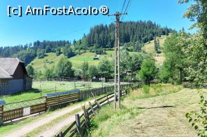 [P42] În drum spre Cacica » foto by Carmen Ion
 - 
<span class="allrVoted glyphicon glyphicon-heart hidden" id="av1381571"></span>
<a class="m-l-10 hidden" id="sv1381571" onclick="voting_Foto_DelVot(,1381571,4091)" role="button">șterge vot <span class="glyphicon glyphicon-remove"></span></a>
<a id="v91381571" class=" c-red"  onclick="voting_Foto_SetVot(1381571)" role="button"><span class="glyphicon glyphicon-heart-empty"></span> <b>LIKE</b> = Votează poza</a> <img class="hidden"  id="f1381571W9" src="/imagini/loader.gif" border="0" /><span class="AjErrMes hidden" id="e1381571ErM"></span>