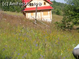 [P22] Cabana din poiana si frumusetea florilor.  » foto by liviu49
 - 
<span class="allrVoted glyphicon glyphicon-heart hidden" id="av1047275"></span>
<a class="m-l-10 hidden" id="sv1047275" onclick="voting_Foto_DelVot(,1047275,4091)" role="button">șterge vot <span class="glyphicon glyphicon-remove"></span></a>
<a id="v91047275" class=" c-red"  onclick="voting_Foto_SetVot(1047275)" role="button"><span class="glyphicon glyphicon-heart-empty"></span> <b>LIKE</b> = Votează poza</a> <img class="hidden"  id="f1047275W9" src="/imagini/loader.gif" border="0" /><span class="AjErrMes hidden" id="e1047275ErM"></span>