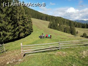[P06] La drum prin Bucovina » foto by Marius 72
 - 
<span class="allrVoted glyphicon glyphicon-heart hidden" id="av1494953"></span>
<a class="m-l-10 hidden" id="sv1494953" onclick="voting_Foto_DelVot(,1494953,4091)" role="button">șterge vot <span class="glyphicon glyphicon-remove"></span></a>
<a id="v91494953" class=" c-red"  onclick="voting_Foto_SetVot(1494953)" role="button"><span class="glyphicon glyphicon-heart-empty"></span> <b>LIKE</b> = Votează poza</a> <img class="hidden"  id="f1494953W9" src="/imagini/loader.gif" border="0" /><span class="AjErrMes hidden" id="e1494953ErM"></span>