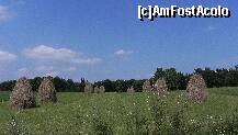 [P29]  -- <small>// FĂRĂ DESCRIERE</small> » foto by Liaa*
 - 
<span class="allrVoted glyphicon glyphicon-heart hidden" id="av214684"></span>
<a class="m-l-10 hidden" id="sv214684" onclick="voting_Foto_DelVot(,214684,4091)" role="button">șterge vot <span class="glyphicon glyphicon-remove"></span></a>
<a id="v9214684" class=" c-red"  onclick="voting_Foto_SetVot(214684)" role="button"><span class="glyphicon glyphicon-heart-empty"></span> <b>LIKE</b> = Votează poza</a> <img class="hidden"  id="f214684W9" src="/imagini/loader.gif" border="0" /><span class="AjErrMes hidden" id="e214684ErM"></span>