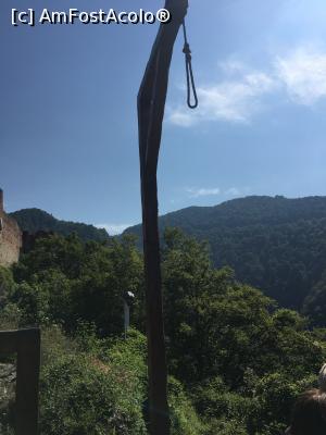[P28] La alegere: spânzurat...  » foto by Yersinia Pestis
 - 
<span class="allrVoted glyphicon glyphicon-heart hidden" id="av903530"></span>
<a class="m-l-10 hidden" id="sv903530" onclick="voting_Foto_DelVot(,903530,4095)" role="button">șterge vot <span class="glyphicon glyphicon-remove"></span></a>
<a id="v9903530" class=" c-red"  onclick="voting_Foto_SetVot(903530)" role="button"><span class="glyphicon glyphicon-heart-empty"></span> <b>LIKE</b> = Votează poza</a> <img class="hidden"  id="f903530W9" src="/imagini/loader.gif" border="0" /><span class="AjErrMes hidden" id="e903530ErM"></span>