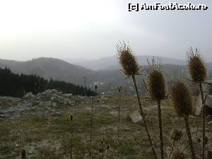 [P07] Spre Culmea Secariei, cu vedere peste Secaria, spre Mtii Baiului » foto by Testosu'
 - 
<span class="allrVoted glyphicon glyphicon-heart hidden" id="av595901"></span>
<a class="m-l-10 hidden" id="sv595901" onclick="voting_Foto_DelVot(,595901,4099)" role="button">șterge vot <span class="glyphicon glyphicon-remove"></span></a>
<a id="v9595901" class=" c-red"  onclick="voting_Foto_SetVot(595901)" role="button"><span class="glyphicon glyphicon-heart-empty"></span> <b>LIKE</b> = Votează poza</a> <img class="hidden"  id="f595901W9" src="/imagini/loader.gif" border="0" /><span class="AjErrMes hidden" id="e595901ErM"></span>
