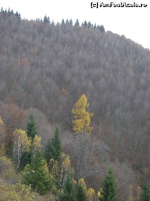 [P09]  -- <small>// FĂRĂ DESCRIERE</small> » foto by Testosu'
 - 
<span class="allrVoted glyphicon glyphicon-heart hidden" id="av595903"></span>
<a class="m-l-10 hidden" id="sv595903" onclick="voting_Foto_DelVot(,595903,4099)" role="button">șterge vot <span class="glyphicon glyphicon-remove"></span></a>
<a id="v9595903" class=" c-red"  onclick="voting_Foto_SetVot(595903)" role="button"><span class="glyphicon glyphicon-heart-empty"></span> <b>LIKE</b> = Votează poza</a> <img class="hidden"  id="f595903W9" src="/imagini/loader.gif" border="0" /><span class="AjErrMes hidden" id="e595903ErM"></span>