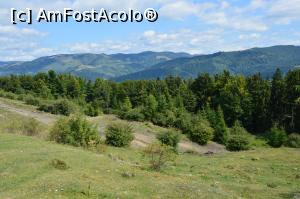 [P17] Munţii Baiului văzuţi de pe şoseaua alpină Teşila, Comarnic, jud. Prahova.  » foto by traian.leuca †
 - 
<span class="allrVoted glyphicon glyphicon-heart hidden" id="av899189"></span>
<a class="m-l-10 hidden" id="sv899189" onclick="voting_Foto_DelVot(,899189,4099)" role="button">șterge vot <span class="glyphicon glyphicon-remove"></span></a>
<a id="v9899189" class=" c-red"  onclick="voting_Foto_SetVot(899189)" role="button"><span class="glyphicon glyphicon-heart-empty"></span> <b>LIKE</b> = Votează poza</a> <img class="hidden"  id="f899189W9" src="/imagini/loader.gif" border="0" /><span class="AjErrMes hidden" id="e899189ErM"></span>
