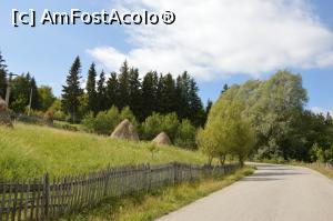 [P03] În urcare pe şoseaua alpină Teşila, Comarnic, jud. Prahova. » foto by traian.leuca †
 - 
<span class="allrVoted glyphicon glyphicon-heart hidden" id="av899175"></span>
<a class="m-l-10 hidden" id="sv899175" onclick="voting_Foto_DelVot(,899175,4099)" role="button">șterge vot <span class="glyphicon glyphicon-remove"></span></a>
<a id="v9899175" class=" c-red"  onclick="voting_Foto_SetVot(899175)" role="button"><span class="glyphicon glyphicon-heart-empty"></span> <b>LIKE</b> = Votează poza</a> <img class="hidden"  id="f899175W9" src="/imagini/loader.gif" border="0" /><span class="AjErrMes hidden" id="e899175ErM"></span>