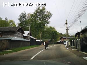 [P01] Undeva, în Aluniș » foto by crismis
 - 
<span class="allrVoted glyphicon glyphicon-heart hidden" id="av1213343"></span>
<a class="m-l-10 hidden" id="sv1213343" onclick="voting_Foto_DelVot(,1213343,4099)" role="button">șterge vot <span class="glyphicon glyphicon-remove"></span></a>
<a id="v91213343" class=" c-red"  onclick="voting_Foto_SetVot(1213343)" role="button"><span class="glyphicon glyphicon-heart-empty"></span> <b>LIKE</b> = Votează poza</a> <img class="hidden"  id="f1213343W9" src="/imagini/loader.gif" border="0" /><span class="AjErrMes hidden" id="e1213343ErM"></span>