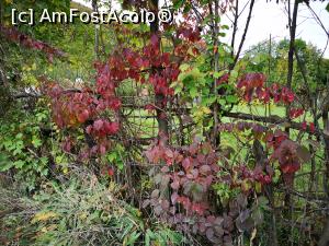 [P41] Pe Valea Doftanei » foto by crismis
 - 
<span class="allrVoted glyphicon glyphicon-heart hidden" id="av1213383"></span>
<a class="m-l-10 hidden" id="sv1213383" onclick="voting_Foto_DelVot(,1213383,4099)" role="button">șterge vot <span class="glyphicon glyphicon-remove"></span></a>
<a id="v91213383" class=" c-red"  onclick="voting_Foto_SetVot(1213383)" role="button"><span class="glyphicon glyphicon-heart-empty"></span> <b>LIKE</b> = Votează poza</a> <img class="hidden"  id="f1213383W9" src="/imagini/loader.gif" border="0" /><span class="AjErrMes hidden" id="e1213383ErM"></span>