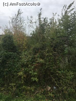 [P11] Așa se vede din șosea. Mai bine zis, nu se vede!  » foto by Yersinia Pestis
 - 
<span class="allrVoted glyphicon glyphicon-heart hidden" id="av911888"></span>
<a class="m-l-10 hidden" id="sv911888" onclick="voting_Foto_DelVot(,911888,4099)" role="button">șterge vot <span class="glyphicon glyphicon-remove"></span></a>
<a id="v9911888" class=" c-red"  onclick="voting_Foto_SetVot(911888)" role="button"><span class="glyphicon glyphicon-heart-empty"></span> <b>LIKE</b> = Votează poza</a> <img class="hidden"  id="f911888W9" src="/imagini/loader.gif" border="0" /><span class="AjErrMes hidden" id="e911888ErM"></span>