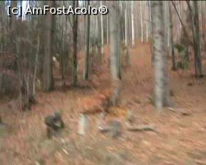 [P13] Din fuga mașinii, se și vede » foto by Yersinia Pestis
 - 
<span class="allrVoted glyphicon glyphicon-heart hidden" id="av911891"></span>
<a class="m-l-10 hidden" id="sv911891" onclick="voting_Foto_DelVot(,911891,4099)" role="button">șterge vot <span class="glyphicon glyphicon-remove"></span></a>
<a id="v9911891" class=" c-red"  onclick="voting_Foto_SetVot(911891)" role="button"><span class="glyphicon glyphicon-heart-empty"></span> <b>LIKE</b> = Votează poza</a> <img class="hidden"  id="f911891W9" src="/imagini/loader.gif" border="0" /><span class="AjErrMes hidden" id="e911891ErM"></span>