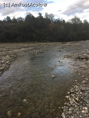 [P19] Prin albia Floreiului » foto by Yersinia Pestis
 - 
<span class="allrVoted glyphicon glyphicon-heart hidden" id="av911901"></span>
<a class="m-l-10 hidden" id="sv911901" onclick="voting_Foto_DelVot(,911901,4099)" role="button">șterge vot <span class="glyphicon glyphicon-remove"></span></a>
<a id="v9911901" class=" c-red"  onclick="voting_Foto_SetVot(911901)" role="button"><span class="glyphicon glyphicon-heart-empty"></span> <b>LIKE</b> = Votează poza</a> <img class="hidden"  id="f911901W9" src="/imagini/loader.gif" border="0" /><span class="AjErrMes hidden" id="e911901ErM"></span>