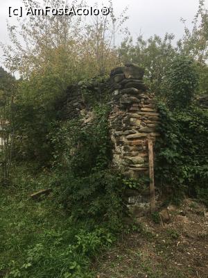 [P09] Acolo-s, sub tufe!  » foto by Yersinia Pestis
 - 
<span class="allrVoted glyphicon glyphicon-heart hidden" id="av911886"></span>
<a class="m-l-10 hidden" id="sv911886" onclick="voting_Foto_DelVot(,911886,4099)" role="button">șterge vot <span class="glyphicon glyphicon-remove"></span></a>
<a id="v9911886" class=" c-red"  onclick="voting_Foto_SetVot(911886)" role="button"><span class="glyphicon glyphicon-heart-empty"></span> <b>LIKE</b> = Votează poza</a> <img class="hidden"  id="f911886W9" src="/imagini/loader.gif" border="0" /><span class="AjErrMes hidden" id="e911886ErM"></span>