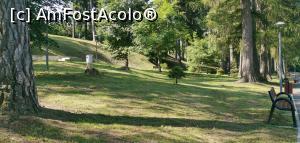 [P21] La rădăcina aceea se juca veverița noastră. » foto by Aurici
 - 
<span class="allrVoted glyphicon glyphicon-heart hidden" id="av1170790"></span>
<a class="m-l-10 hidden" id="sv1170790" onclick="voting_Foto_DelVot(,1170790,4099)" role="button">șterge vot <span class="glyphicon glyphicon-remove"></span></a>
<a id="v91170790" class=" c-red"  onclick="voting_Foto_SetVot(1170790)" role="button"><span class="glyphicon glyphicon-heart-empty"></span> <b>LIKE</b> = Votează poza</a> <img class="hidden"  id="f1170790W9" src="/imagini/loader.gif" border="0" /><span class="AjErrMes hidden" id="e1170790ErM"></span>