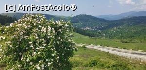 [P28] Pasul Secăria, de unde începe traseul spre Vârful Secăria. Șoseaua care se vede duce în DN1. » foto by Aurici
 - 
<span class="allrVoted glyphicon glyphicon-heart hidden" id="av1170797"></span>
<a class="m-l-10 hidden" id="sv1170797" onclick="voting_Foto_DelVot(,1170797,4099)" role="button">șterge vot <span class="glyphicon glyphicon-remove"></span></a>
<a id="v91170797" class=" c-red"  onclick="voting_Foto_SetVot(1170797)" role="button"><span class="glyphicon glyphicon-heart-empty"></span> <b>LIKE</b> = Votează poza</a> <img class="hidden"  id="f1170797W9" src="/imagini/loader.gif" border="0" /><span class="AjErrMes hidden" id="e1170797ErM"></span>