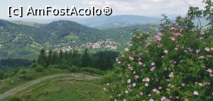 [P35] Comuna Secăria de pe vârful cu același nume. » foto by Aurici
 - 
<span class="allrVoted glyphicon glyphicon-heart hidden" id="av1170804"></span>
<a class="m-l-10 hidden" id="sv1170804" onclick="voting_Foto_DelVot(,1170804,4099)" role="button">șterge vot <span class="glyphicon glyphicon-remove"></span></a>
<a id="v91170804" class=" c-red"  onclick="voting_Foto_SetVot(1170804)" role="button"><span class="glyphicon glyphicon-heart-empty"></span> <b>LIKE</b> = Votează poza</a> <img class="hidden"  id="f1170804W9" src="/imagini/loader.gif" border="0" /><span class="AjErrMes hidden" id="e1170804ErM"></span>