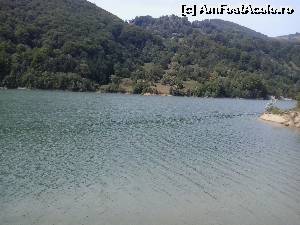 [P01] O parte din lacul de acumulare Paltinu vazut de pe mal.  » foto by shamash
 - 
<span class="allrVoted glyphicon glyphicon-heart hidden" id="av527668"></span>
<a class="m-l-10 hidden" id="sv527668" onclick="voting_Foto_DelVot(,527668,4099)" role="button">șterge vot <span class="glyphicon glyphicon-remove"></span></a>
<a id="v9527668" class=" c-red"  onclick="voting_Foto_SetVot(527668)" role="button"><span class="glyphicon glyphicon-heart-empty"></span> <b>LIKE</b> = Votează poza</a> <img class="hidden"  id="f527668W9" src="/imagini/loader.gif" border="0" /><span class="AjErrMes hidden" id="e527668ErM"></span>