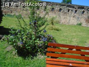 [P21] Curtea și zidurile de incintă » foto by Carmen Ion
 - 
<span class="allrVoted glyphicon glyphicon-heart hidden" id="av1173992"></span>
<a class="m-l-10 hidden" id="sv1173992" onclick="voting_Foto_DelVot(,1173992,4099)" role="button">șterge vot <span class="glyphicon glyphicon-remove"></span></a>
<a id="v91173992" class=" c-red"  onclick="voting_Foto_SetVot(1173992)" role="button"><span class="glyphicon glyphicon-heart-empty"></span> <b>LIKE</b> = Votează poza</a> <img class="hidden"  id="f1173992W9" src="/imagini/loader.gif" border="0" /><span class="AjErrMes hidden" id="e1173992ErM"></span>