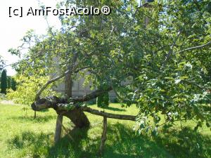 [P41] Complexul arhitectural de la Brebu - parcul » foto by Carmen Ion
 - 
<span class="allrVoted glyphicon glyphicon-heart hidden" id="av1174012"></span>
<a class="m-l-10 hidden" id="sv1174012" onclick="voting_Foto_DelVot(,1174012,4099)" role="button">șterge vot <span class="glyphicon glyphicon-remove"></span></a>
<a id="v91174012" class=" c-red"  onclick="voting_Foto_SetVot(1174012)" role="button"><span class="glyphicon glyphicon-heart-empty"></span> <b>LIKE</b> = Votează poza</a> <img class="hidden"  id="f1174012W9" src="/imagini/loader.gif" border="0" /><span class="AjErrMes hidden" id="e1174012ErM"></span>