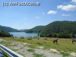 [P52] Lacul Paltinoasa și pajiștea nou amenajată » foto by Carmen Ion
 - 
<span class="allrVoted glyphicon glyphicon-heart hidden" id="av1174023"></span>
<a class="m-l-10 hidden" id="sv1174023" onclick="voting_Foto_DelVot(,1174023,4099)" role="button">șterge vot <span class="glyphicon glyphicon-remove"></span></a>
<a id="v91174023" class=" c-red"  onclick="voting_Foto_SetVot(1174023)" role="button"><span class="glyphicon glyphicon-heart-empty"></span> <b>LIKE</b> = Votează poza</a> <img class="hidden"  id="f1174023W9" src="/imagini/loader.gif" border="0" /><span class="AjErrMes hidden" id="e1174023ErM"></span>