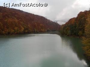 [P13] Lacul Paltinu » foto by Mika
 - 
<span class="allrVoted glyphicon glyphicon-heart hidden" id="av1201894"></span>
<a class="m-l-10 hidden" id="sv1201894" onclick="voting_Foto_DelVot(,1201894,4099)" role="button">șterge vot <span class="glyphicon glyphicon-remove"></span></a>
<a id="v91201894" class=" c-red"  onclick="voting_Foto_SetVot(1201894)" role="button"><span class="glyphicon glyphicon-heart-empty"></span> <b>LIKE</b> = Votează poza</a> <img class="hidden"  id="f1201894W9" src="/imagini/loader.gif" border="0" /><span class="AjErrMes hidden" id="e1201894ErM"></span>