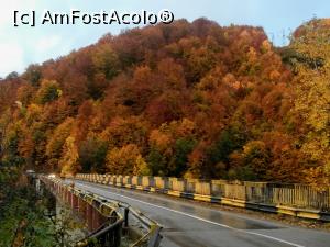 [P18] Pe viaductul de pe Paltinu » foto by Mika
 - 
<span class="allrVoted glyphicon glyphicon-heart hidden" id="av1201899"></span>
<a class="m-l-10 hidden" id="sv1201899" onclick="voting_Foto_DelVot(,1201899,4099)" role="button">șterge vot <span class="glyphicon glyphicon-remove"></span></a>
<a id="v91201899" class=" c-red"  onclick="voting_Foto_SetVot(1201899)" role="button"><span class="glyphicon glyphicon-heart-empty"></span> <b>LIKE</b> = Votează poza</a> <img class="hidden"  id="f1201899W9" src="/imagini/loader.gif" border="0" /><span class="AjErrMes hidden" id="e1201899ErM"></span>