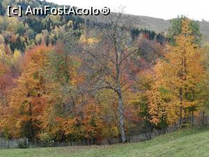 [P06] De la Comarnic la Valea Doftanei prin Secăria » foto by Mika
 - 
<span class="allrVoted glyphicon glyphicon-heart hidden" id="av1201887"></span>
<a class="m-l-10 hidden" id="sv1201887" onclick="voting_Foto_DelVot(,1201887,4099)" role="button">șterge vot <span class="glyphicon glyphicon-remove"></span></a>
<a id="v91201887" class=" c-red"  onclick="voting_Foto_SetVot(1201887)" role="button"><span class="glyphicon glyphicon-heart-empty"></span> <b>LIKE</b> = Votează poza</a> <img class="hidden"  id="f1201887W9" src="/imagini/loader.gif" border="0" /><span class="AjErrMes hidden" id="e1201887ErM"></span>