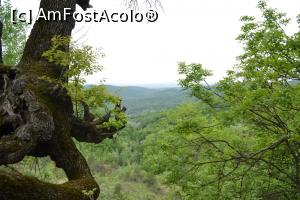 [P12] deasupra rapei sta un arbore agatat curadacinile afara » foto by MAnd
 - 
<span class="allrVoted glyphicon glyphicon-heart hidden" id="av748583"></span>
<a class="m-l-10 hidden" id="sv748583" onclick="voting_Foto_DelVot(,748583,4099)" role="button">șterge vot <span class="glyphicon glyphicon-remove"></span></a>
<a id="v9748583" class=" c-red"  onclick="voting_Foto_SetVot(748583)" role="button"><span class="glyphicon glyphicon-heart-empty"></span> <b>LIKE</b> = Votează poza</a> <img class="hidden"  id="f748583W9" src="/imagini/loader.gif" border="0" /><span class="AjErrMes hidden" id="e748583ErM"></span>